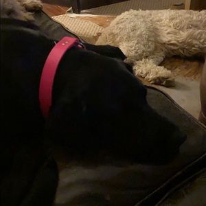 Meet your Posher, Jim